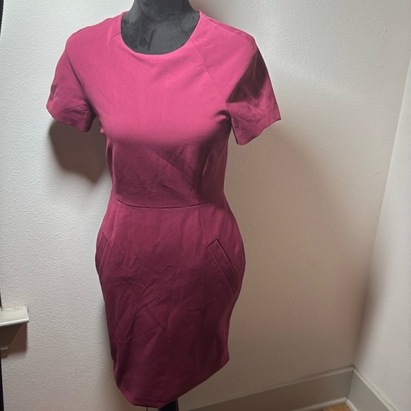 Acne Studios Lucille Sheath Dress in Burgundy Cotton blend Sz 36 US 4 - Picture 4 of 15